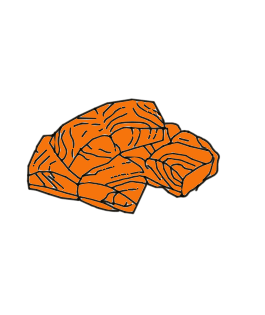 Salmon