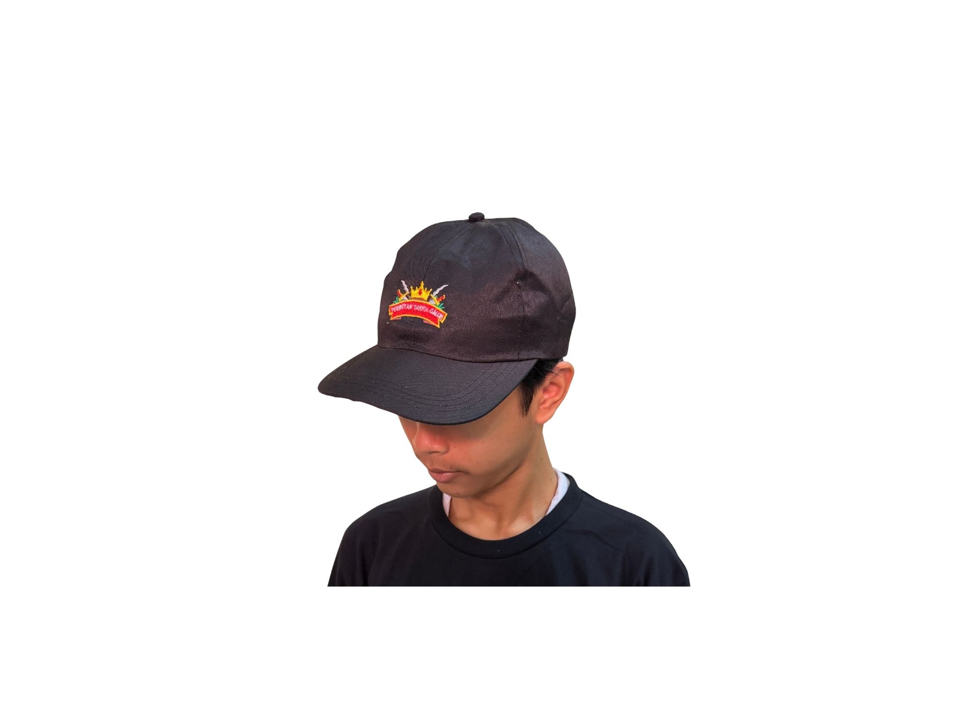 Topi